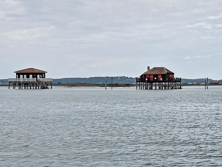 Arcachon Vogelinsel