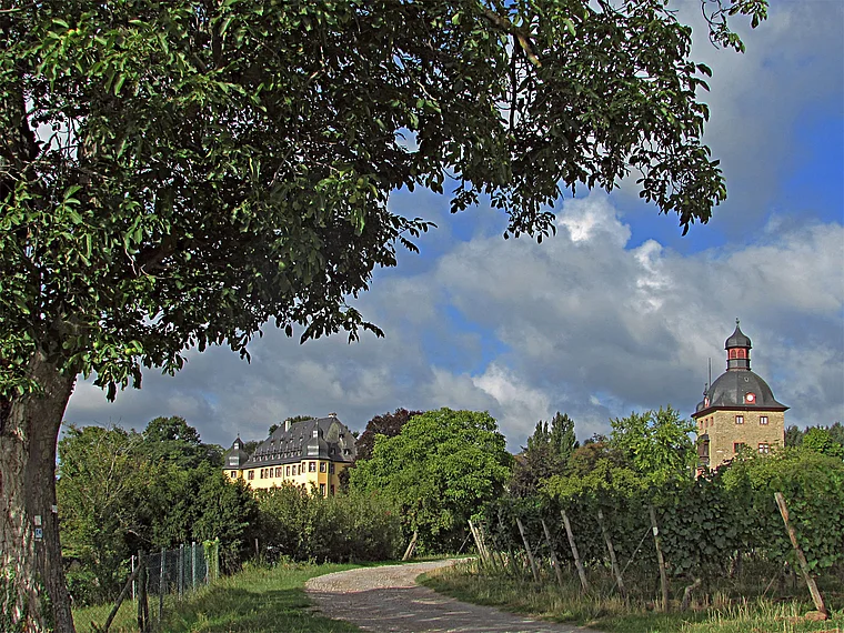 Oestrich-Winkel Schloss Vollrads von fern