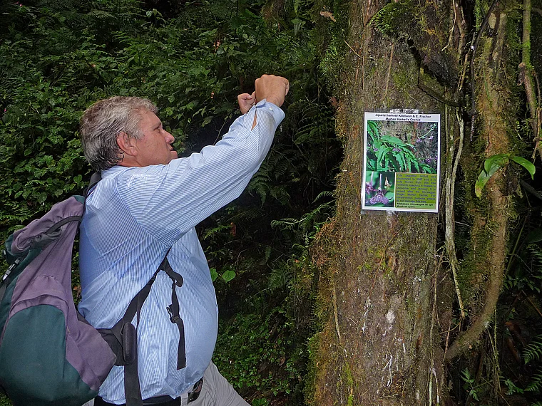 Ruanda Nyungwe National Park Eberhard Fischer