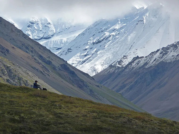 Alaska Denali National Park sitzender Wanderer