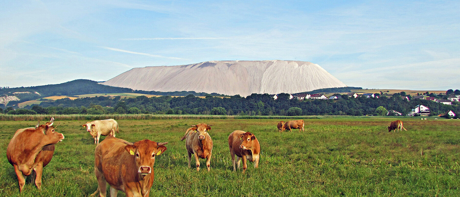 Heringen Kaliberg