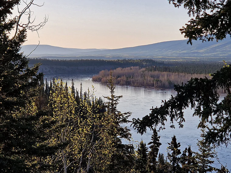 Yukon Stewart River Morgenlicht