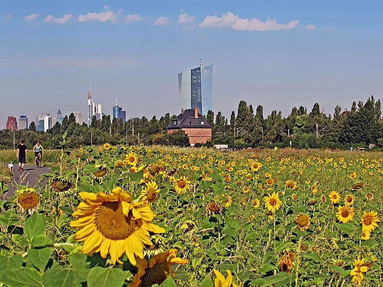 Frankfurt Oberrad EZB