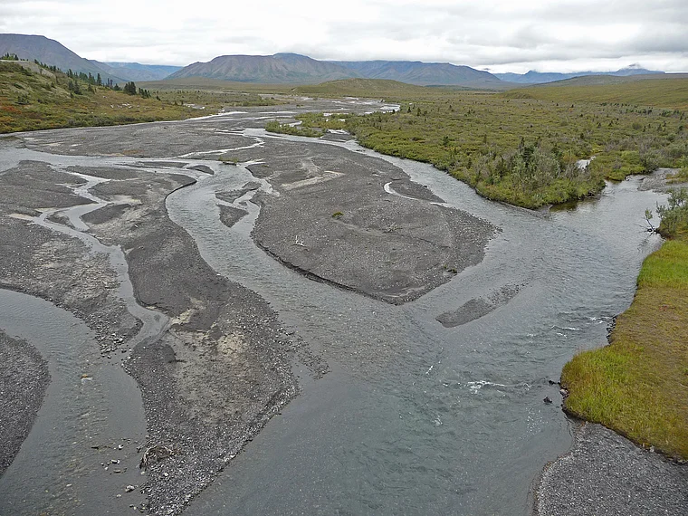 Alaska Denali National Park Flussbett