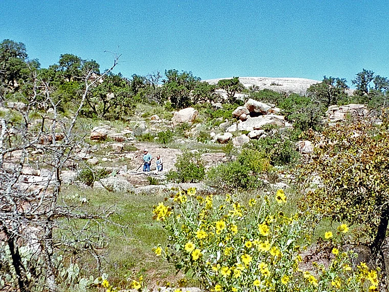 Texas Landschaft mit Blumen