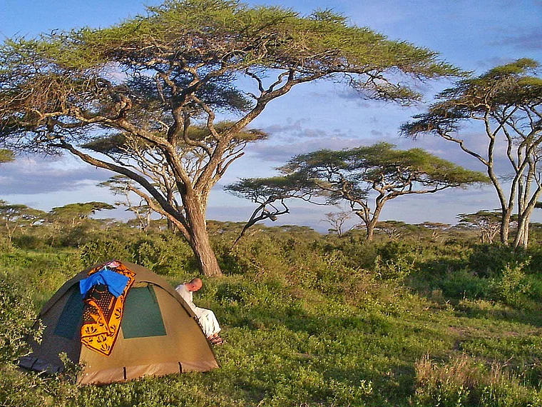 Tansania Serengeti Buschcamp Zelt Akazien