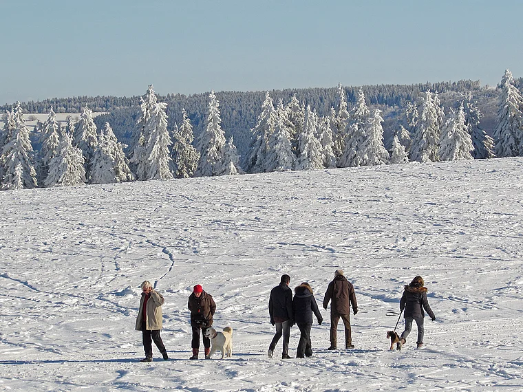 Gersfeld Wasserkuppe Winter
