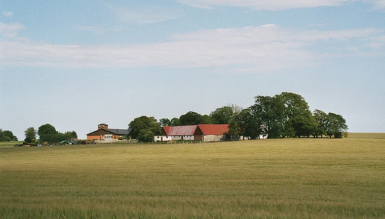 Südschweden Hagestad Bauernhof von fern