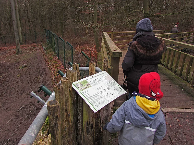 Wildpark Knüll kleine Besucher