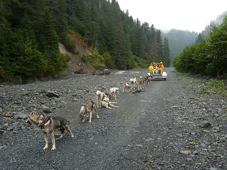 Alaska Seward Hundeschlitten im Sommer