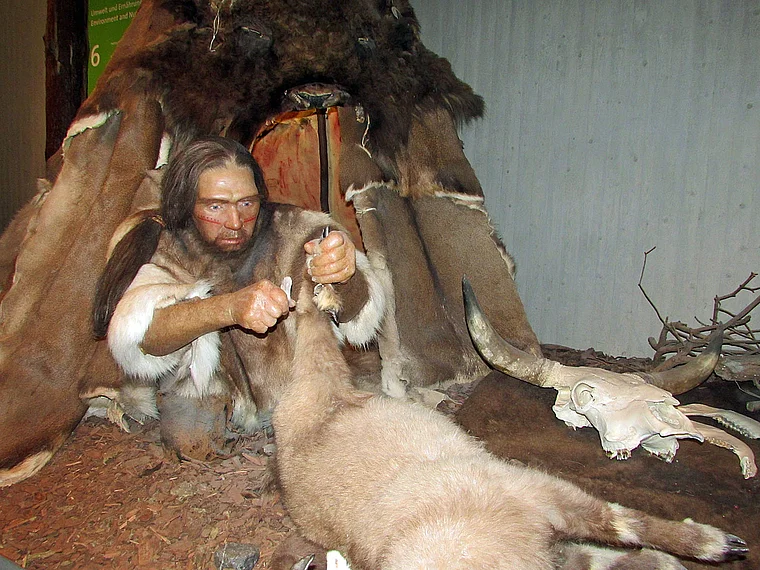 Mettmann Neanderthal Museum innen