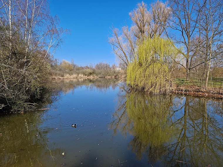 Gießen Stadtpark Wieseckaue