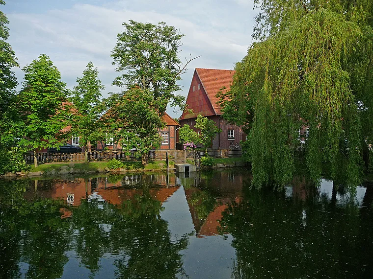 Wiedensahl Dorfteich