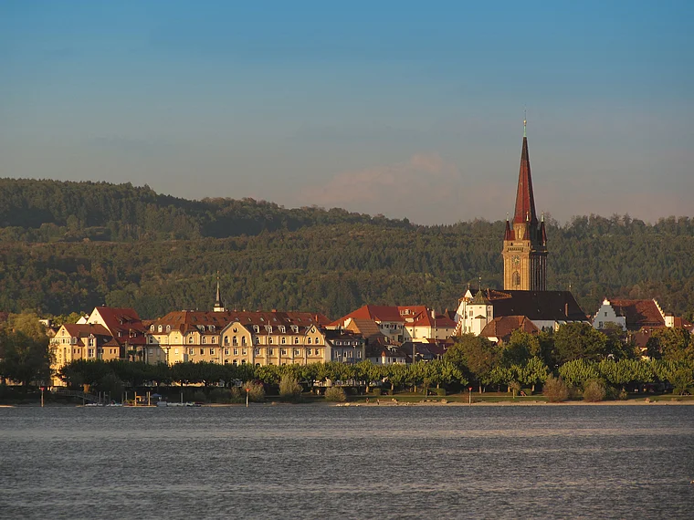 Moos Bodensee Blick nach Radolfzell