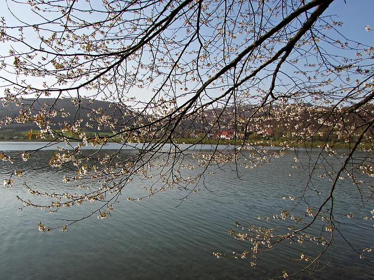 Schieder-Schwalenberg Schieder See Frühling