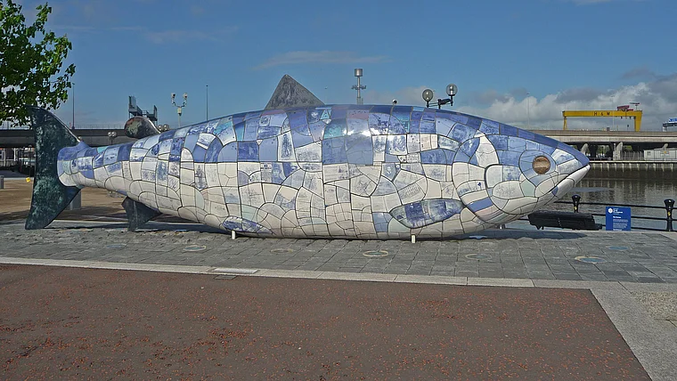 Belfast Big Fish