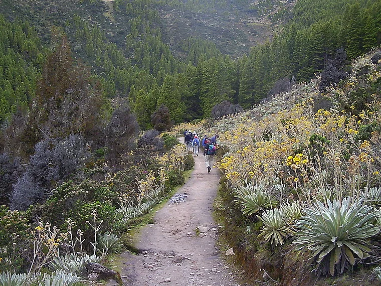 Venezuela Andenregion Wanderer