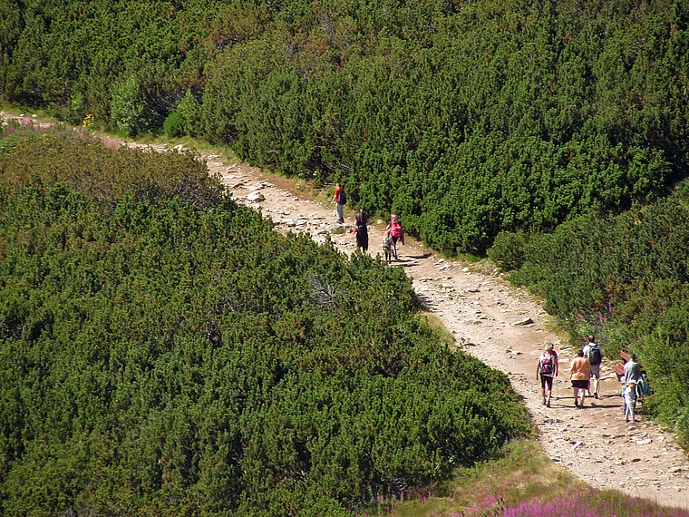 Bulgarien Musala Wanderer