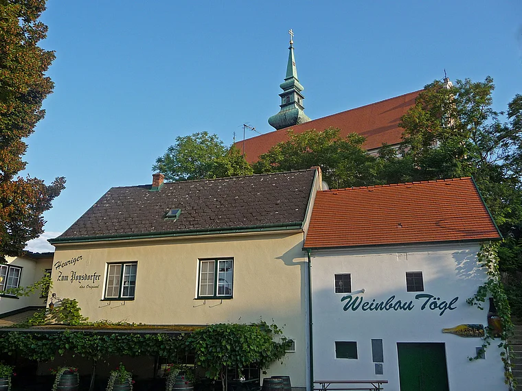 Weinviertel Poysdorf Weingut Tögl