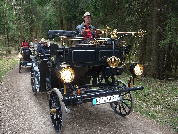Fränkische Schweiz Aaglander im Wald