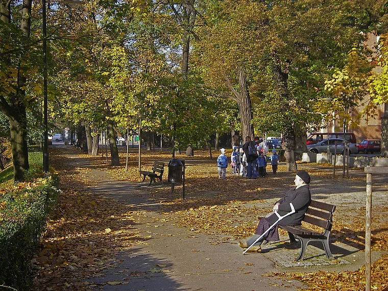 Breslau Grünes Band Herbst