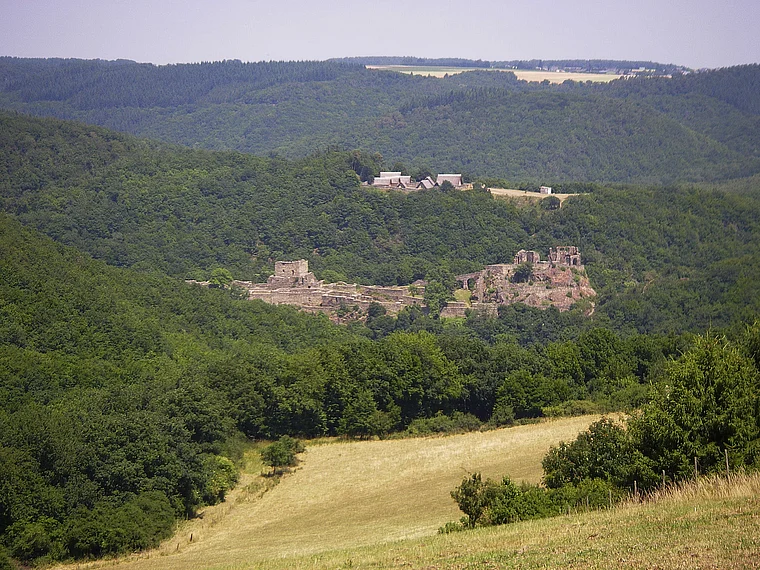 Hunsrück Schneppenbach Schmidtburg von fern