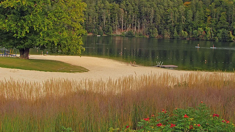 Bad Arolsen Twistetalsperre Strand Herbst