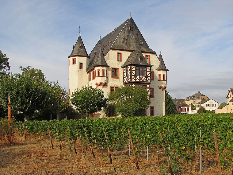 Geisenheim Schloss Schönborn