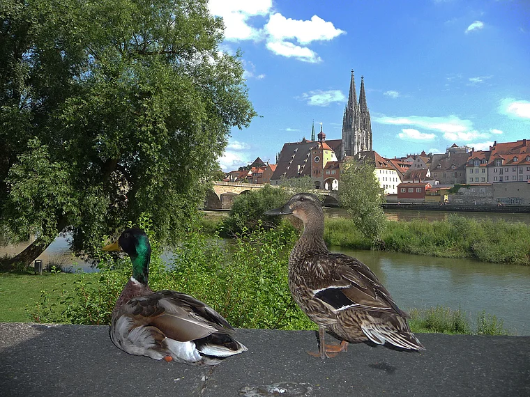 Regensburg Spitalgarten Ausblick