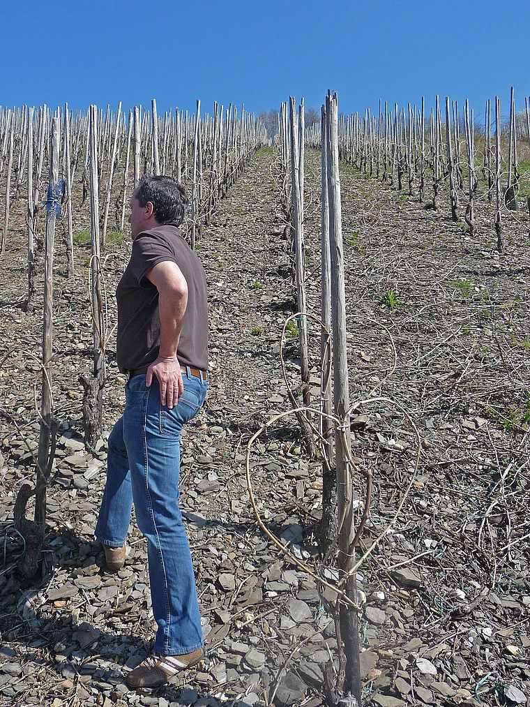 Waldrach Ruwer Wolfgang Mertes im Weinberg