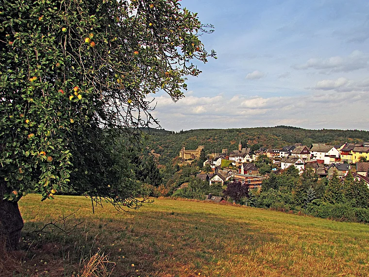 Hohenstein Burg-Hohenstein von fern