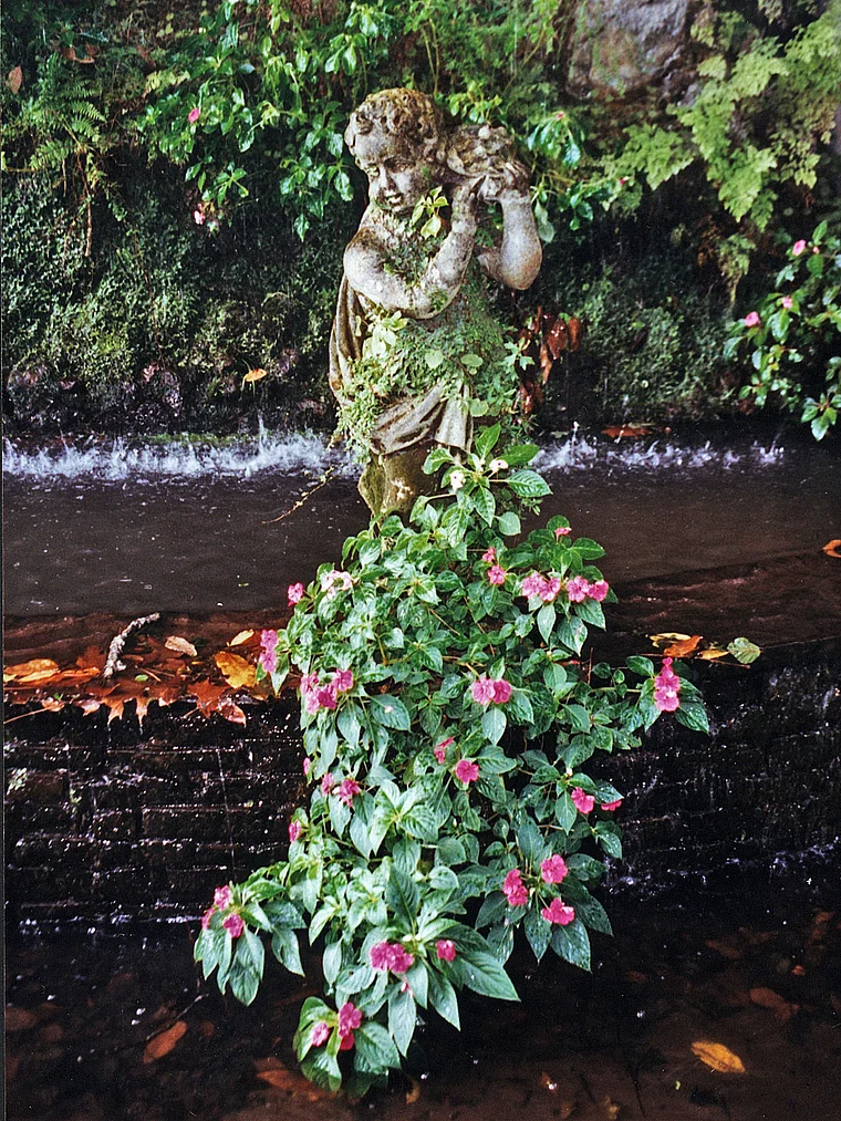 Madeira Funchal Botanischer Garten Putte