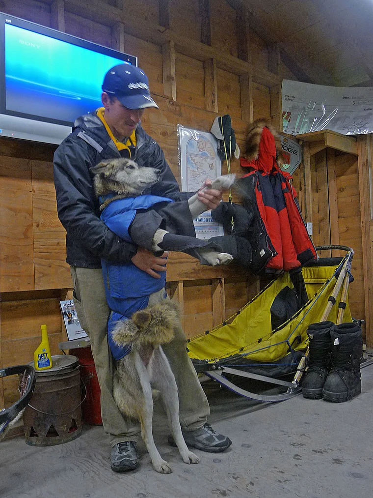 Alaska Sewrd Iditarod Sled Dog Tours Ausrüstung für Schlittenhunde