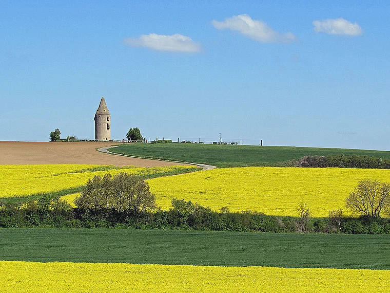 Schaafheim Wartturm von fern