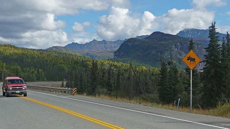 Alaska Glenn Highway Schild Elch