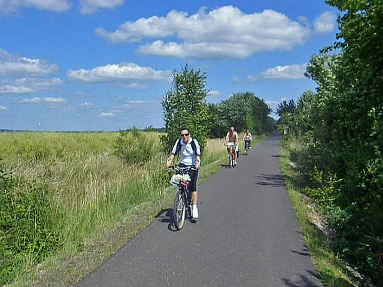 Hunsrück Schinderhannes Readweg mit mehreren Radfahrern