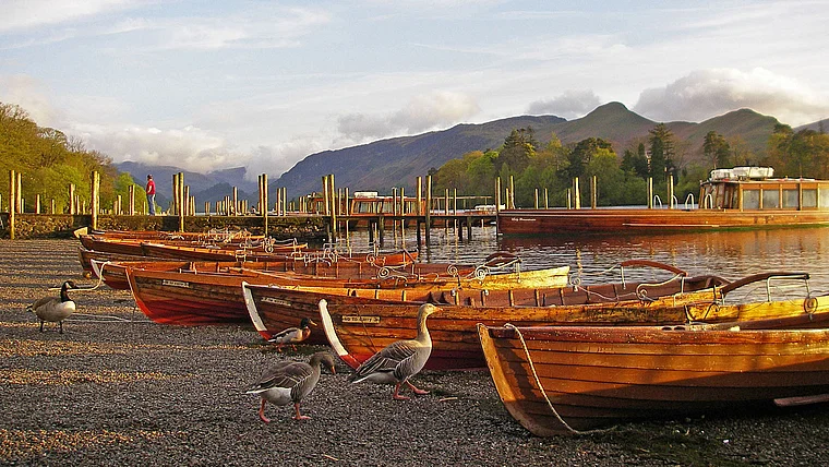 Lake District Keswick Ruderboote und Gänse