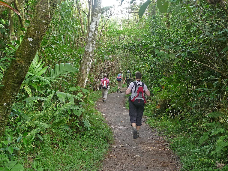 Costa Rica 3 Arenal Naturschutzgebiet Wanderer