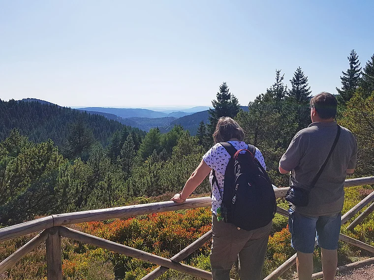 Oberhof Rennsteiggarten Ausblick