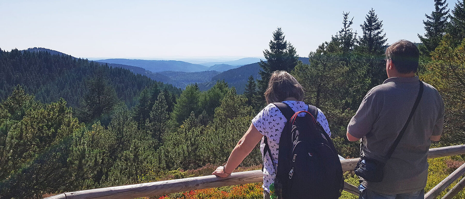 Oberhof Rennsteiggarten Ausblick