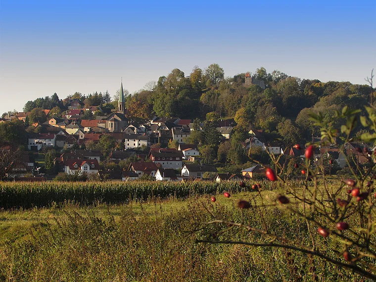 Ulrichstein Totale