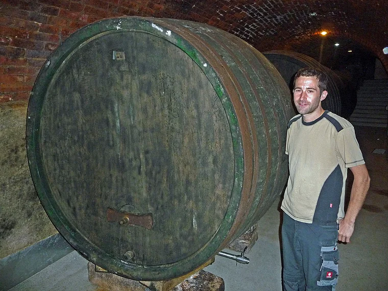 Weinviertel Großriedenthal Weingut Mehofer Weinkeller