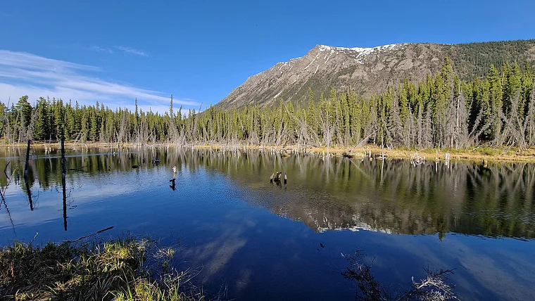 Yukon Carcross einsamer See Nares Mountain