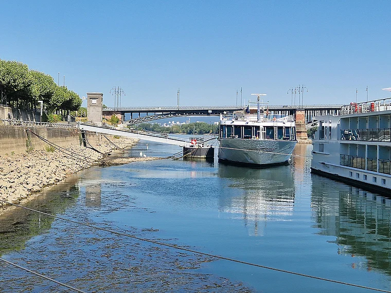 Mainz Kreuzfahrtschiffe Niedrigwasser