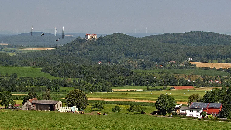 Hofbieber Schloss Bieberstein von fern