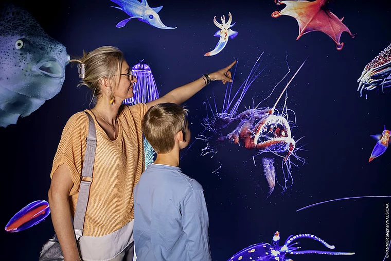 Boulogne-sur-Mer Nausicaa Ausstellung Tiefsee