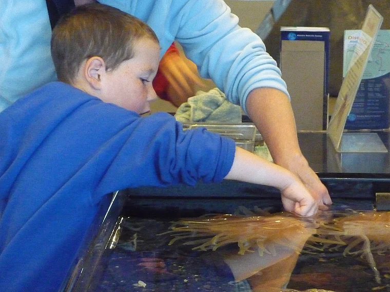Alaska Seward Sealife Center Besucher groß