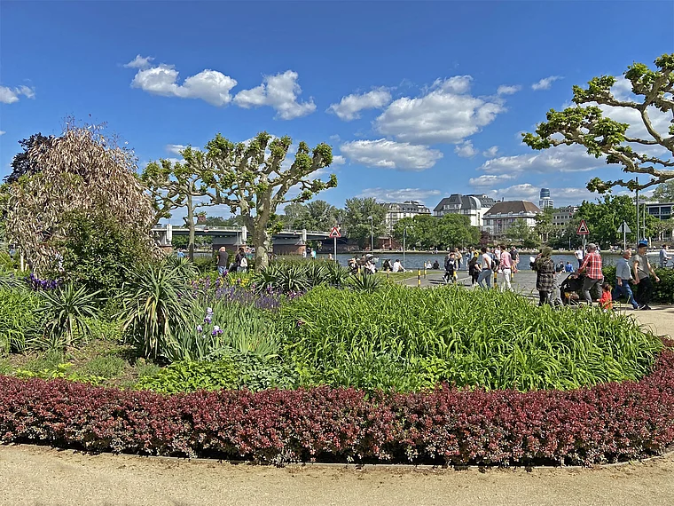 Frankfurt Mainufer Nizza