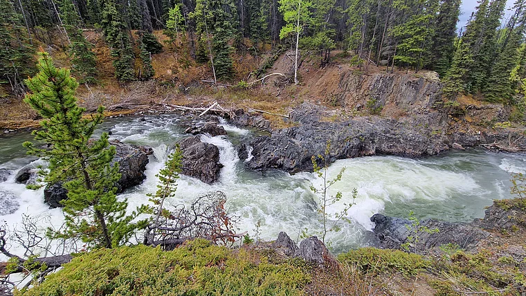 Kanada British Columbia Atlin Pine Creek Wasserfälle