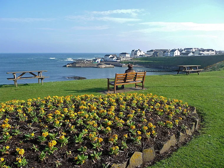 Nordirland Portballintrae Seeblick Frühling